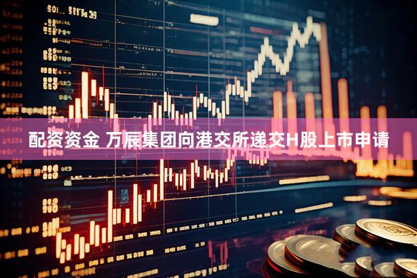 配资资金 万辰集团向港交所递交H股上市申请