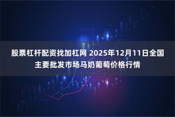 股票杠杆配资找加杠网 2025年12月11日全国主要批发市场马奶葡萄价格行情